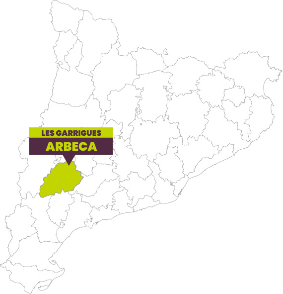 Arbeca, Lleida