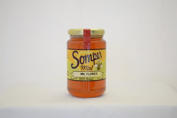 Miel Mil Flores 900g